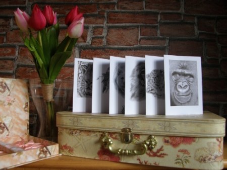 Set exkluzívnych pohľadníc "WILDLIFE"